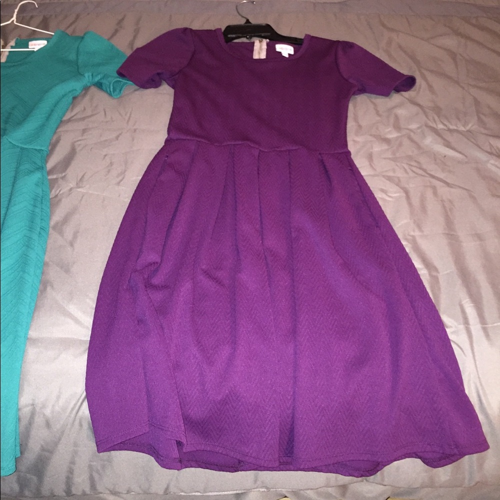2 Lula Roe dresses! Only worn once